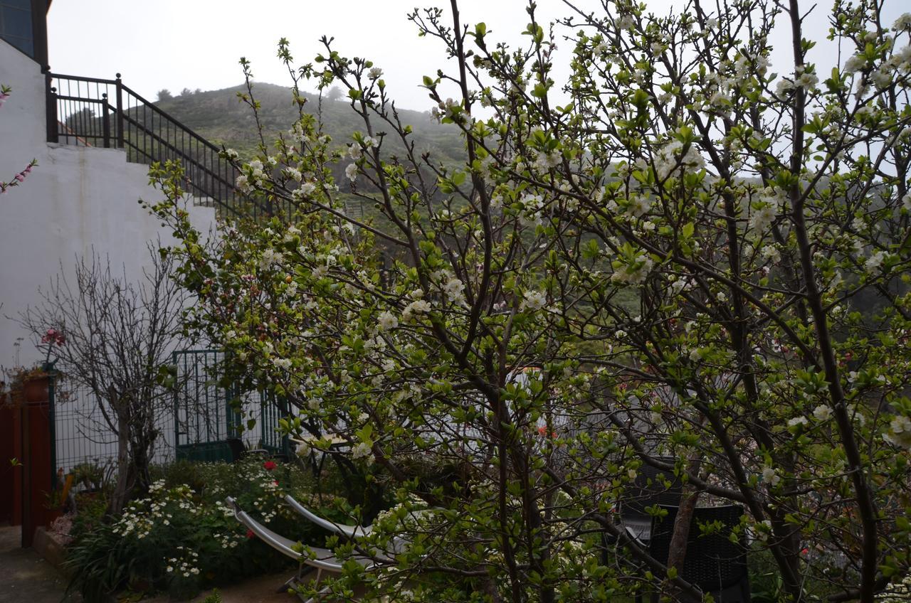 Rural Gomera Arure Exterior photo